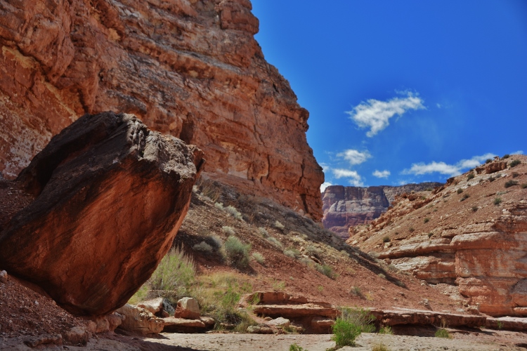 Lower Cathedral Wash